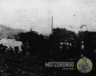 Vías del Ferrocarril Agrícola de Motzorongo que transportaba la caña de azúcar al ingenio azucarero, se observan cabezas de ganado que en su tiempo pastaba el General Pacheco.