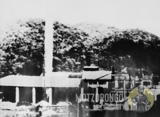The Motzorongo Company en su apogeo.