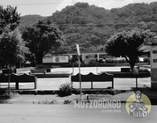 Parque "Carlos A. Pacheco".