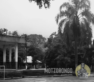 Vista hacia la pérgola, al fondo el monumento a la madre con su fuente junto a la extinta palmera en el parque Carlos A. Pacheco.