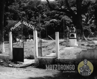 Parque infantil "Luis Calderón", todavía en pie el cedro donde alguna vez se fundó el sindicato.