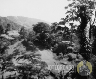 Terrenos del actual jardín botánico cuando era solo un vertedero de cachaza y lugar para pastar ganado.