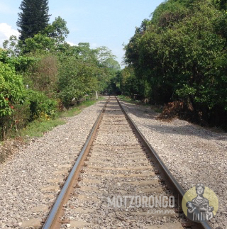 Vías del ferrocarril detrás de la clínica del Seguro Social.