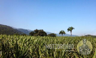 Vista del Pico de Orizaba desde la entrada de Motzorongo.