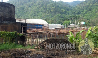 Ingenio Central Motzorongo.