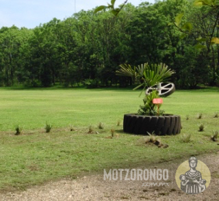 Jardín botánico "Hermanos Machado".
