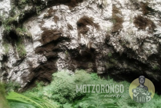 El sótano de Motzorongo.