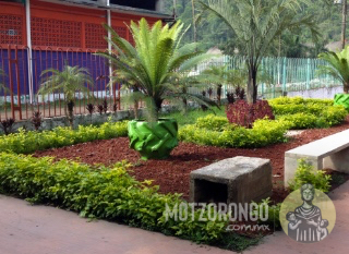 Jardín de la parroquia "Santa Teresa de Ávila".