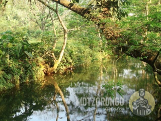 Río de Motzorongo.